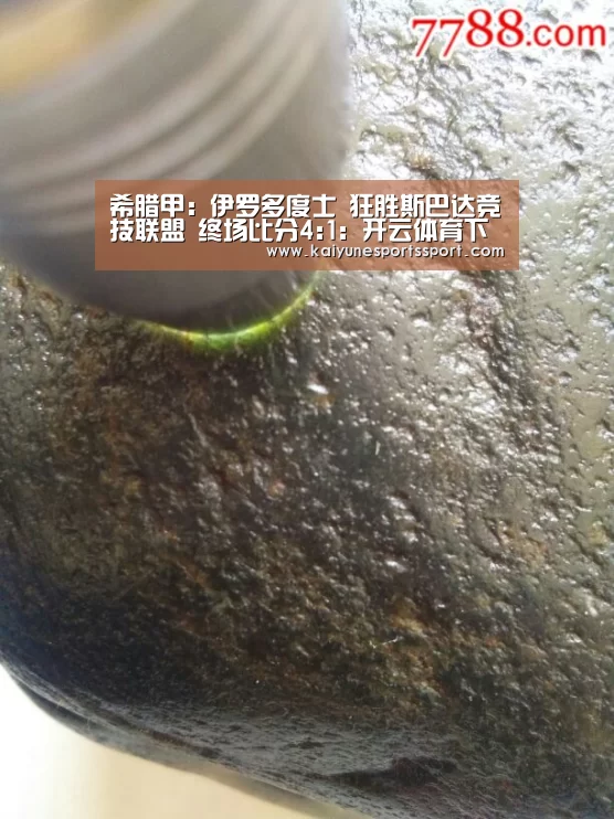 开云全站下载