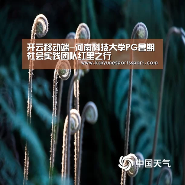 开云电竞官网