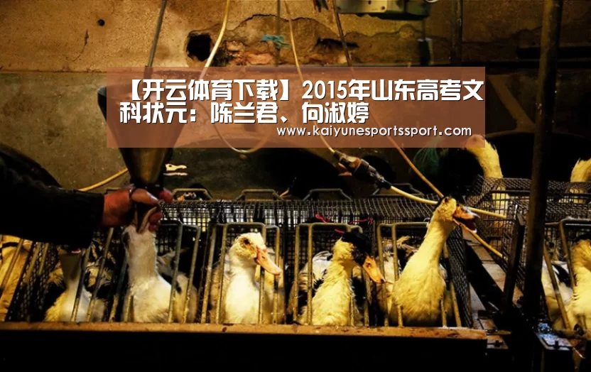 开云体育下载