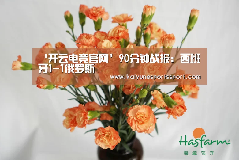 开云电竞官网