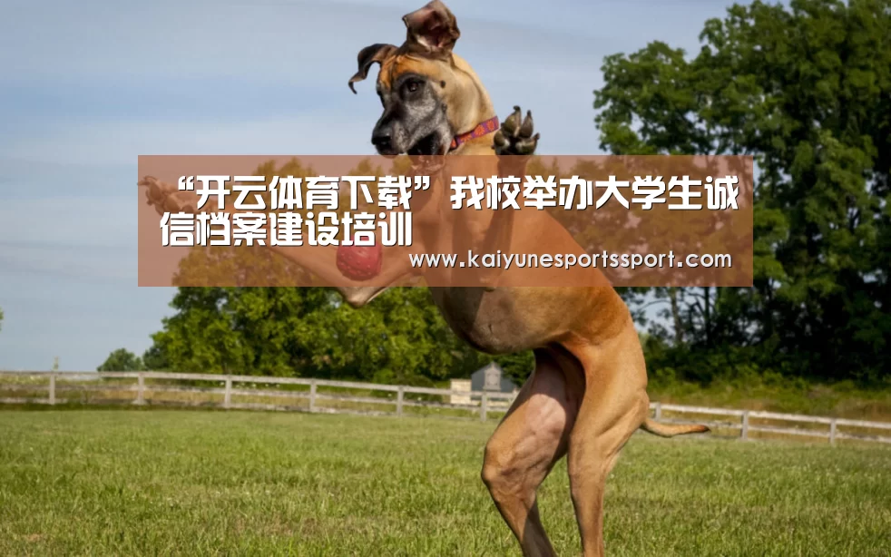 开云电竞官网