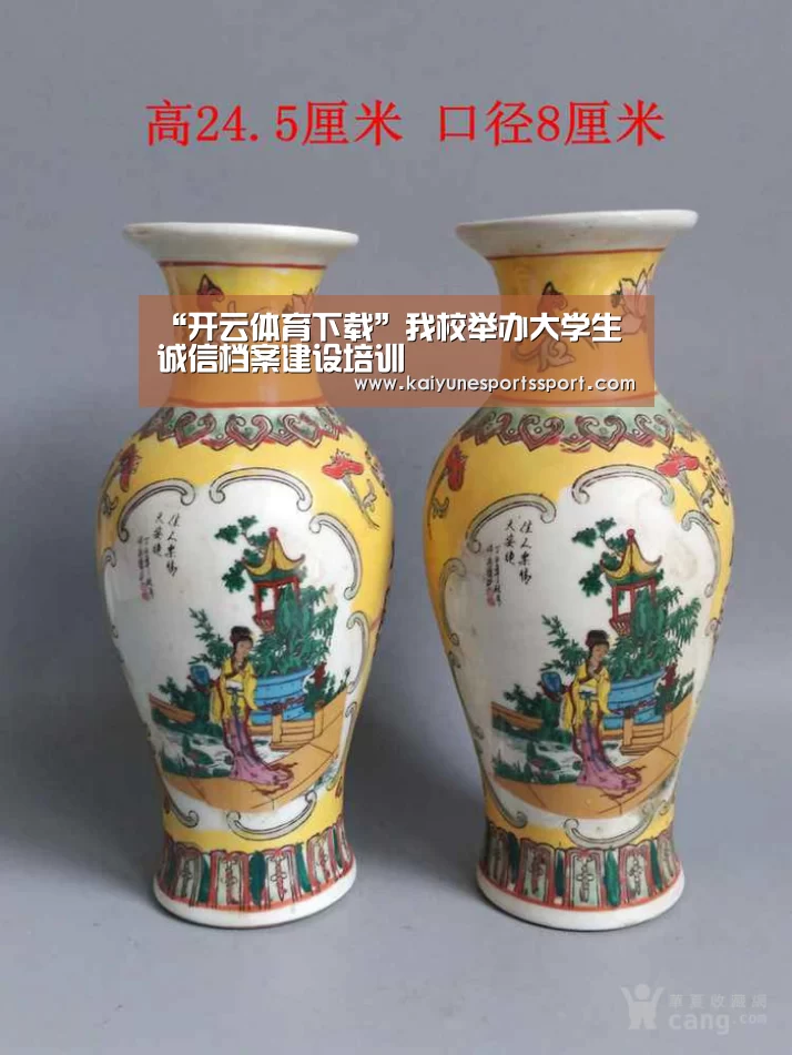 开云全站下载