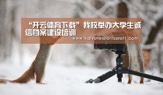 开云全站下载