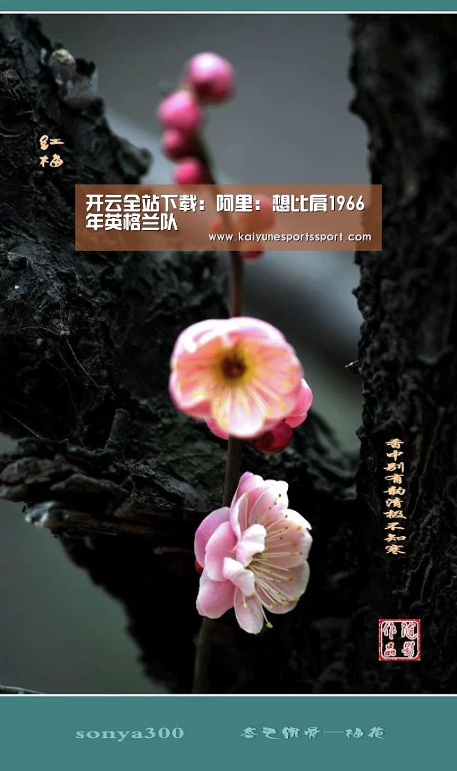 开云电竞官网