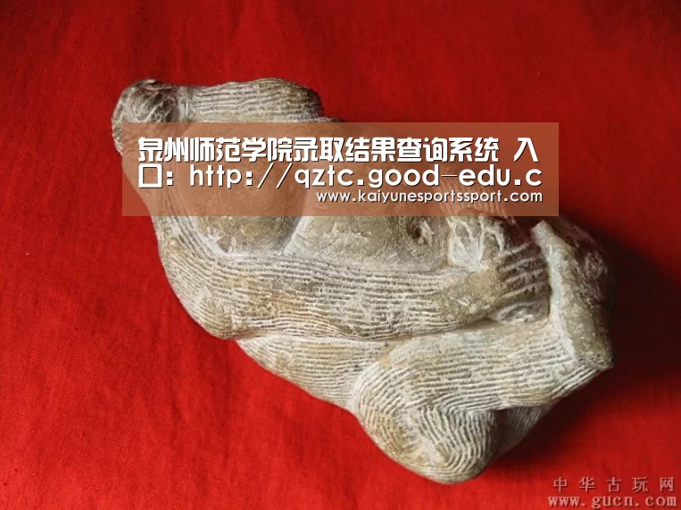 开云体育下载