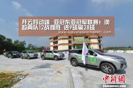开云移动端